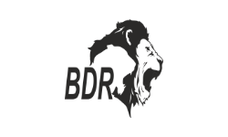 Logo BDR